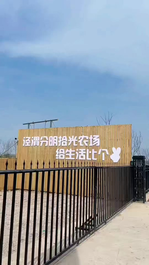 拾光农场赚钱