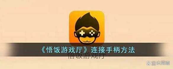 悟饭游戏厅手柄按键不能修改