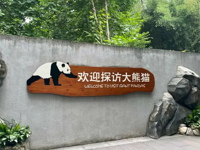 大熊猫基地旅游攻略