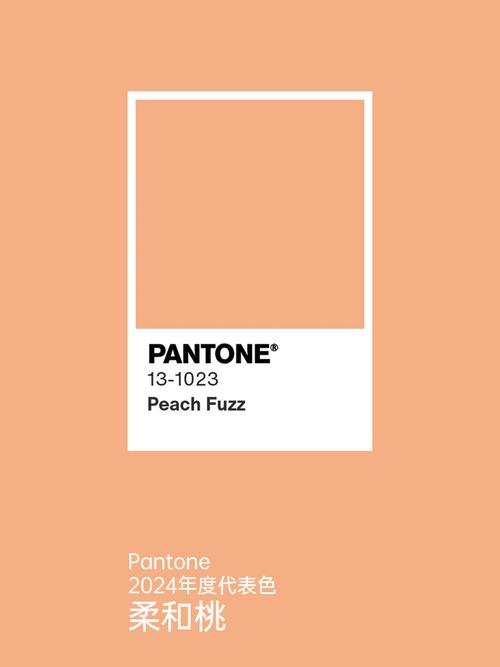pantone手机版