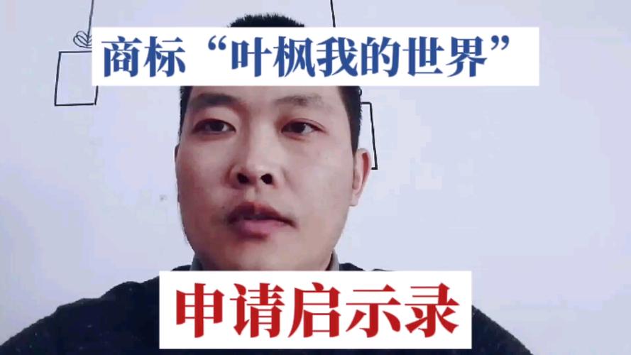 我的世界叶枫轮回转生