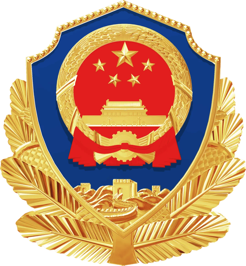 2020公安执法