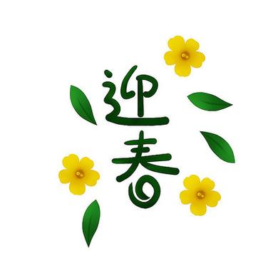 迎春网安装
