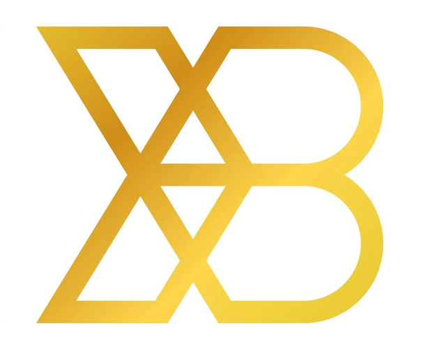 XB新币v10