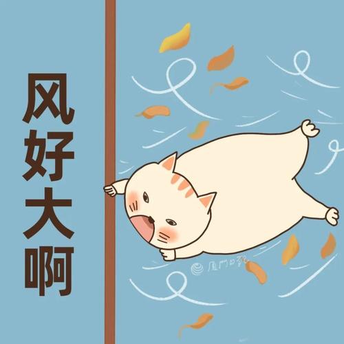 动物大风吹