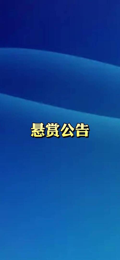 秒单悬赏手机版