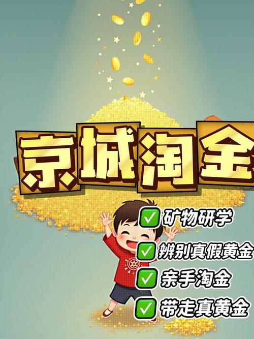 冒险淘金app