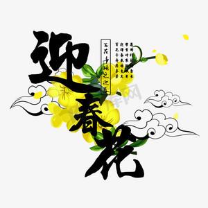 迎春花赚钱