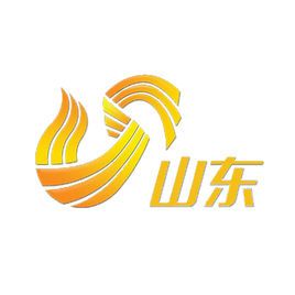 2019山东中小截图