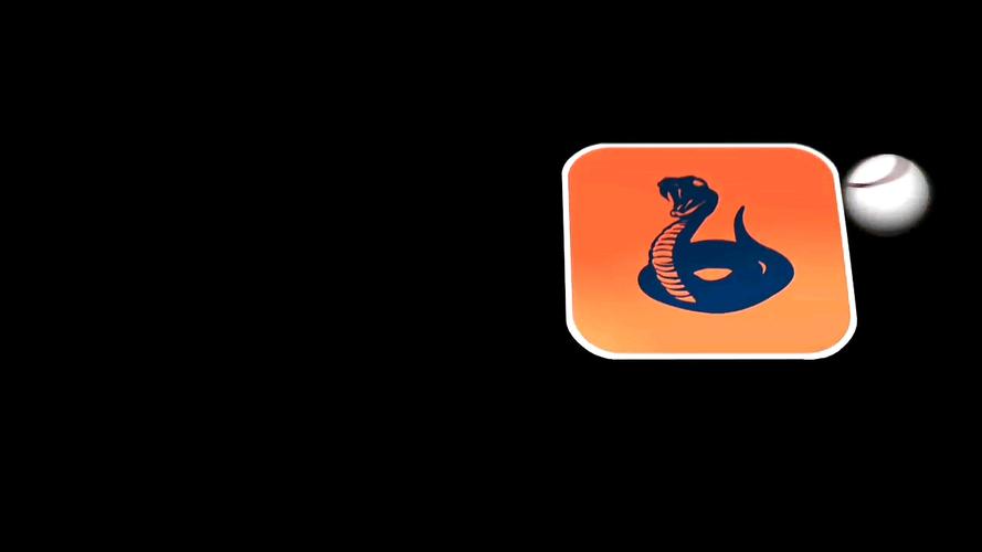 鲁尼任务app