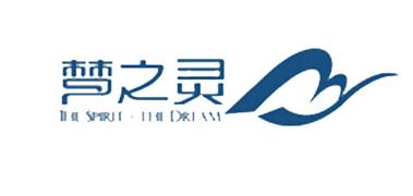 梦之影精灵