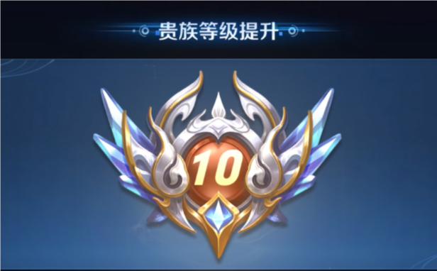 王者v10共享皮