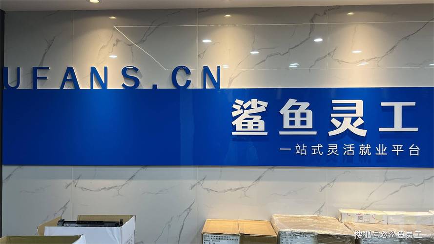 鲨鱼零工v100