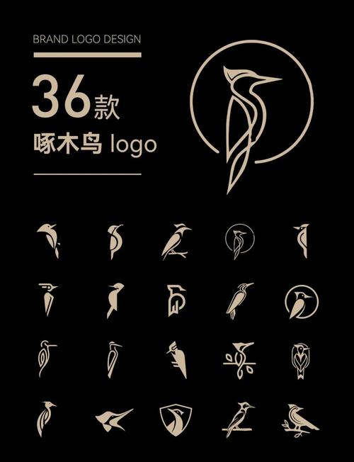 小啄zuanqi