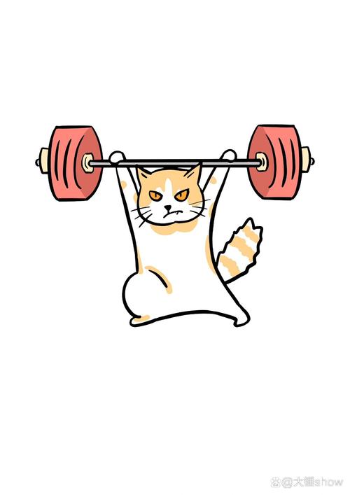 健身猫2