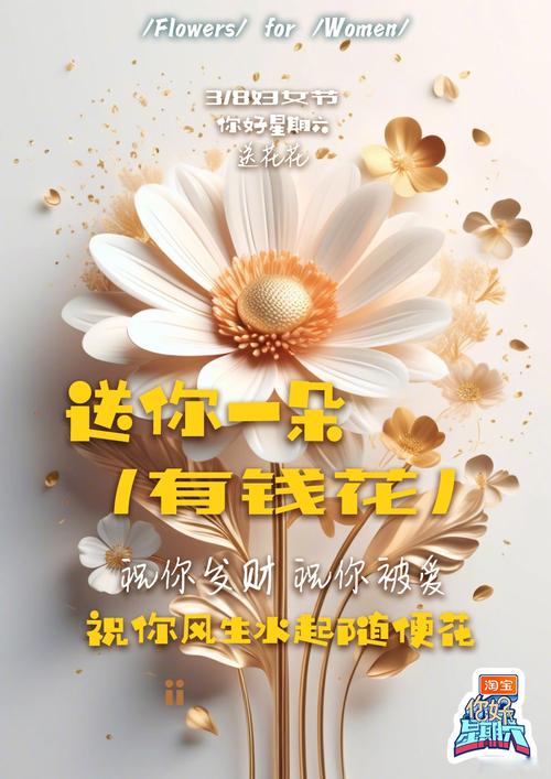金马网有钱花转发