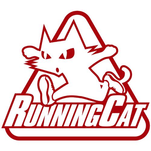 猫猫赛跑