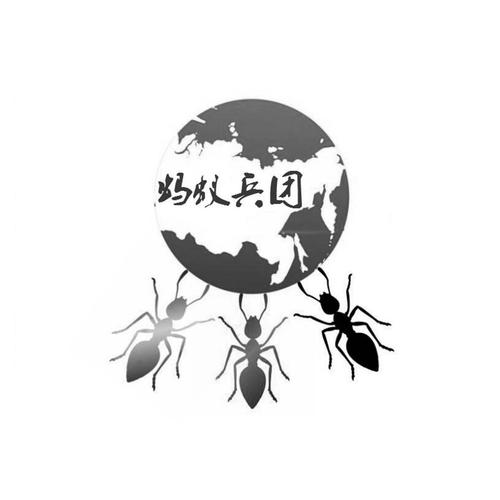 放置蚁群