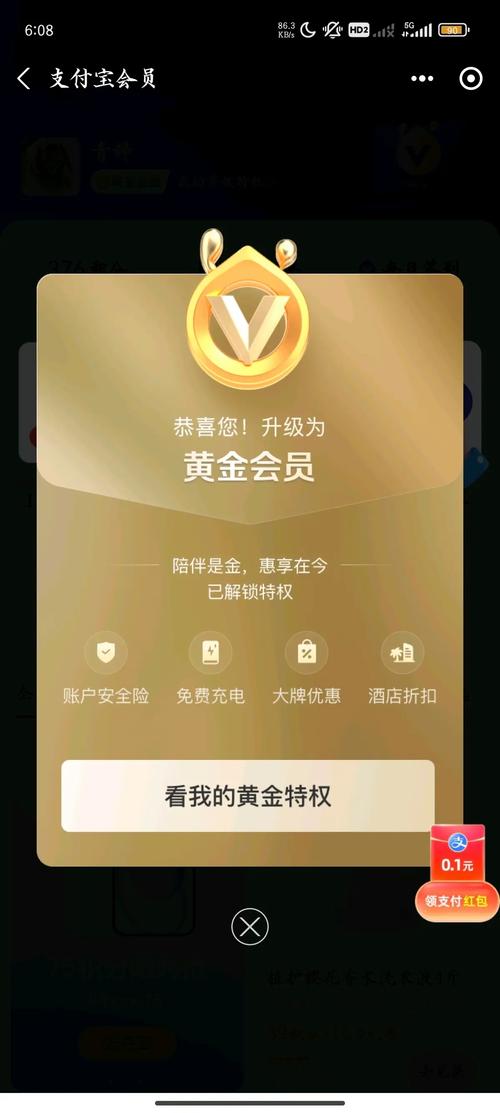 金手指6.0抢红包VIP免费安卓版app下载