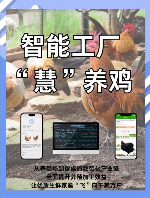 智慧养鸡农场平台