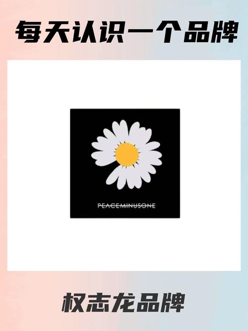 雏菊资讯正式版