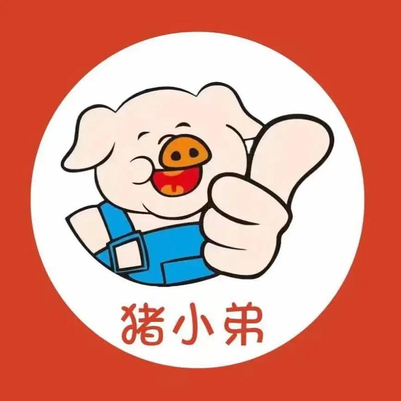 猪小弟贷款