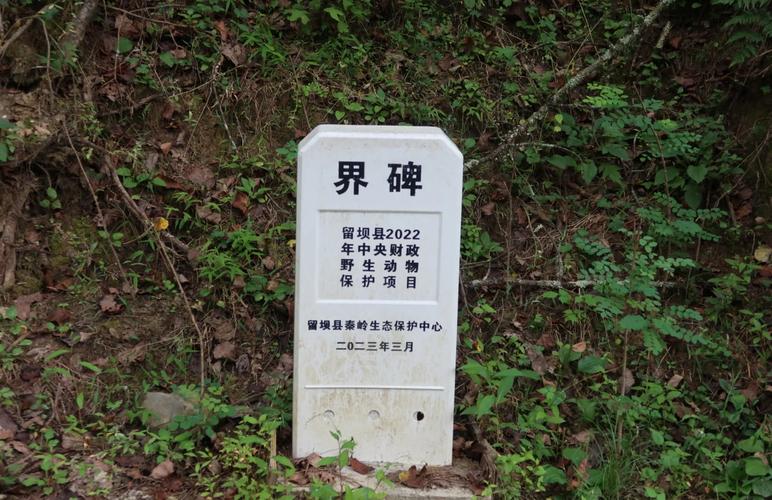 爱留坝新闻阅读手