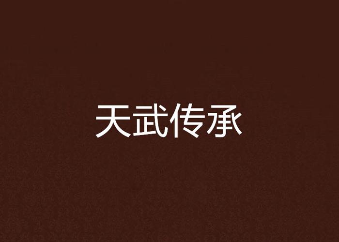 天武传说
