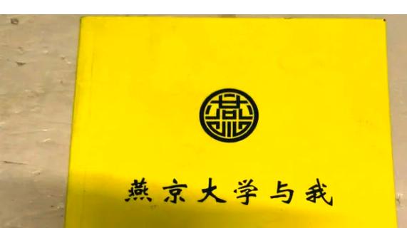 深宫大燕