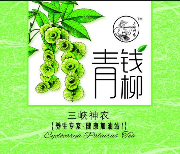 青钱柳茶赚钱