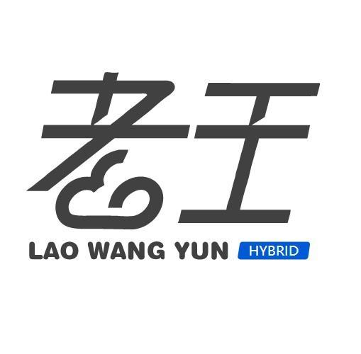 老王223官网安