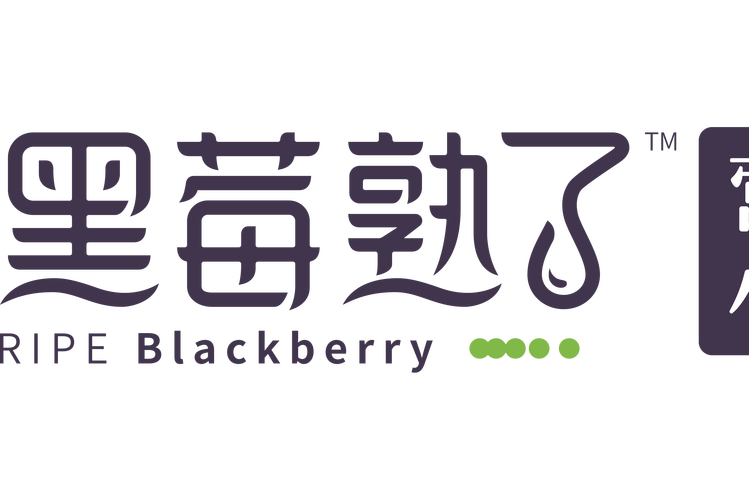 黑莓免费小说