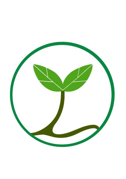 生命绿洲区块种树