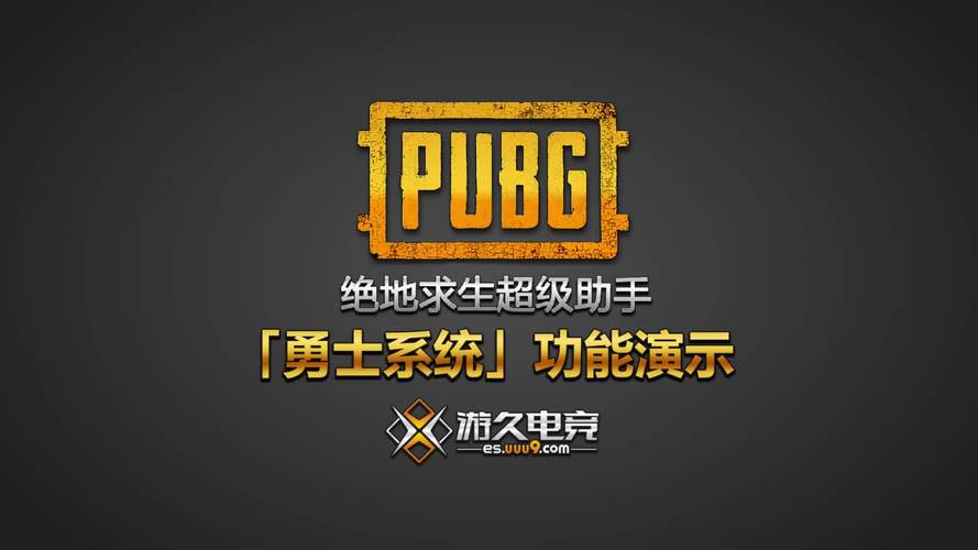 吃鸡小助手