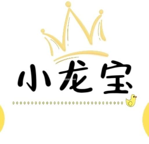 小龙宝