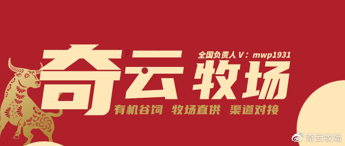 奇云牧场养牛赚钱