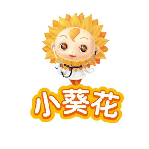 小花葵贷款口子