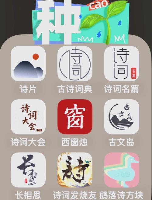 诗词王者2021