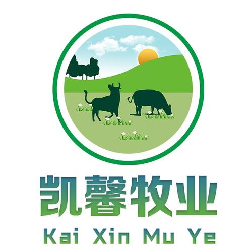 凯馨牧业养牛赚钱