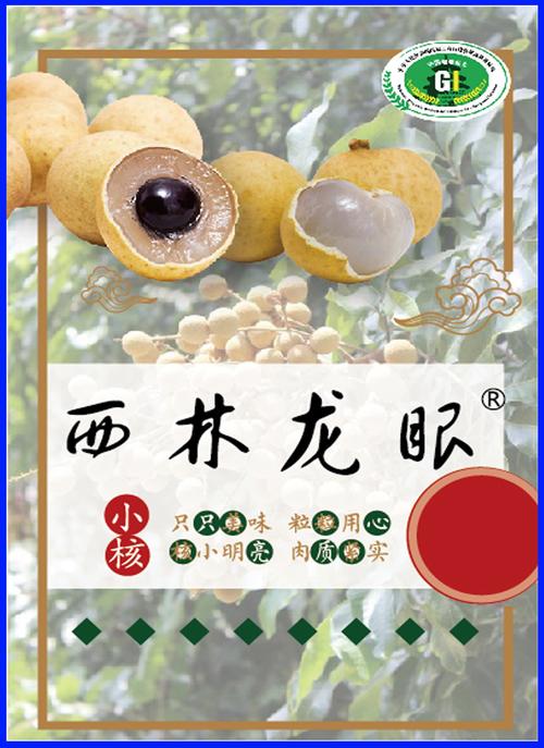 龙眼小说手机版
