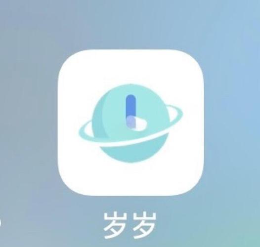 岁岁银推广赚钱版截图