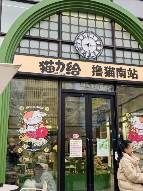 猫力给休闲养猫游