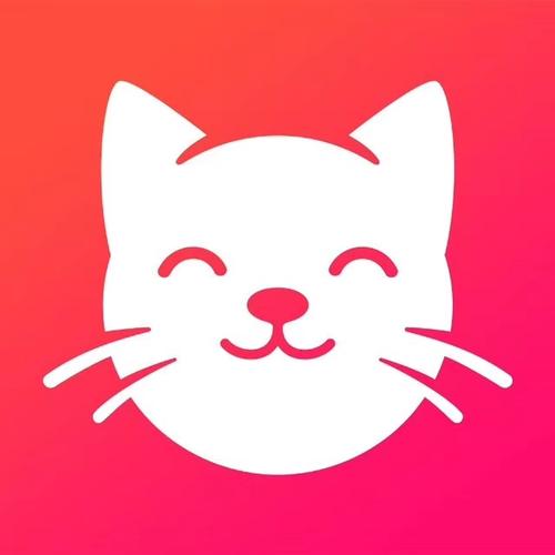 养猫联盟app官方正式版