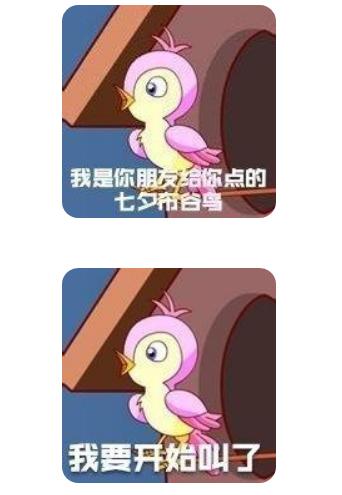 七夕不孤鸟表情包