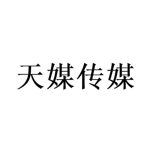 天美传媒testflight