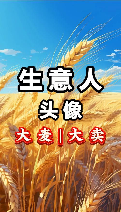 种大麦做任务赚钱