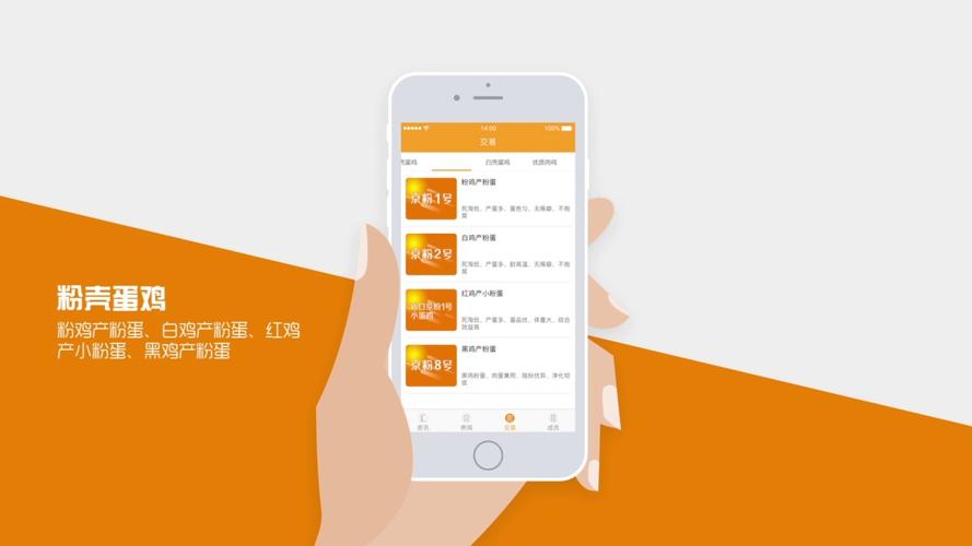 智慧鸡场红包版