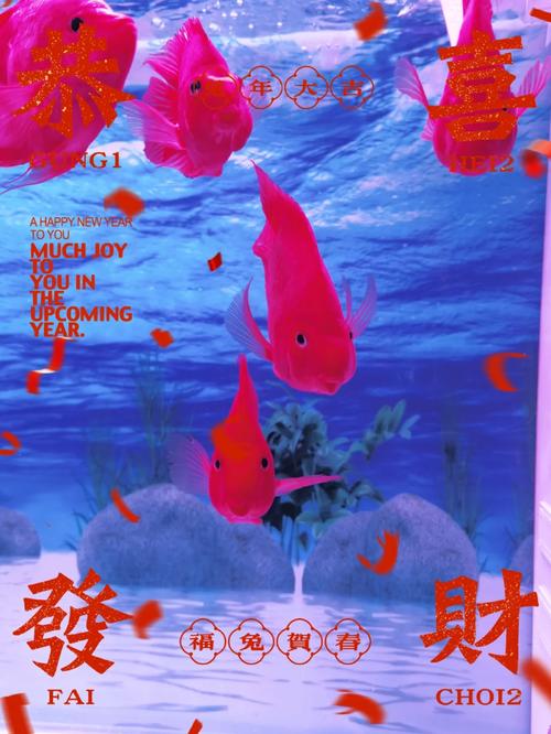 财神鱼官网手机客