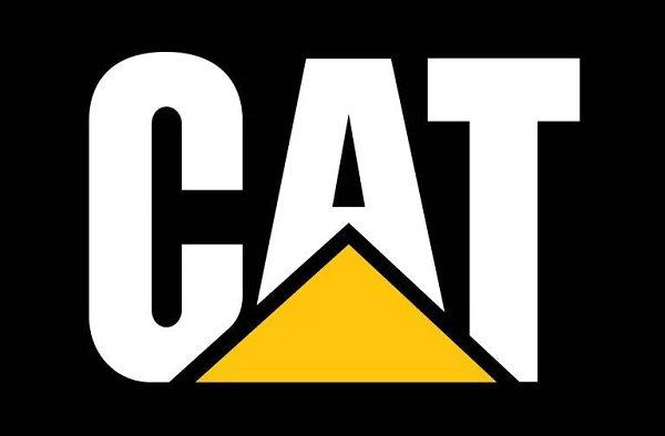 CyberCat