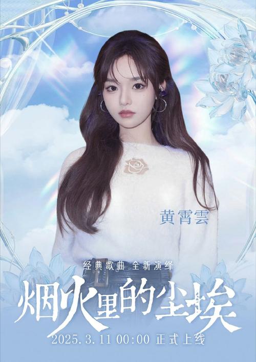 涨粉王春安装官网
